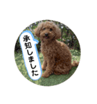 ひと言わんちゃんず1（個別スタンプ：14）