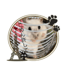 ハムスターパールホワイト（個別スタンプ：6）