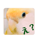 使えるスタンプ w（個別スタンプ：1）