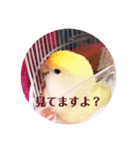 使えるスタンプ w（個別スタンプ：2）