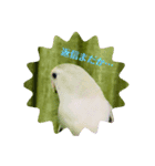 使えるスタンプ w（個別スタンプ：5）