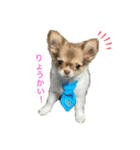 moca-babyスタンプ（個別スタンプ：1）