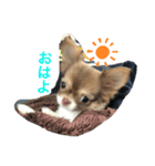 moca-babyスタンプ（個別スタンプ：4）