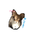 moca-babyスタンプ（個別スタンプ：5）
