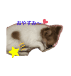 moca-babyスタンプ（個別スタンプ：6）