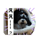 MIX犬ララさんの日常③+（個別スタンプ：4）