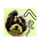 MIX犬ララさんの日常③+（個別スタンプ：15）