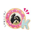MIX犬ララさんの日常③+（個別スタンプ：18）