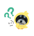 MIX犬ララさんの日常③+（個別スタンプ：20）