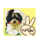 MIX犬ララさんの日常③+（個別スタンプ：21）