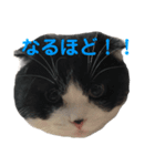 まもるとウルル（個別スタンプ：13）