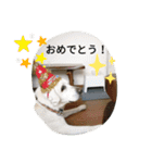 トマーシュ成長記2（個別スタンプ：2）