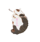 しいたけ(ねこ)スタンプ（個別スタンプ：7）
