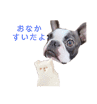 レオンさんのスタンプ 2nd（個別スタンプ：15）