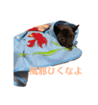 甲斐犬オハナ（個別スタンプ：16）