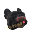 フレブルの仲良し姉妹♡（個別スタンプ：6）