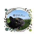 フレブルの仲良し姉妹♡（個別スタンプ：18）