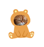 エキゾチックたま（個別スタンプ：1）