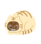 エキゾチックたま（個別スタンプ：8）