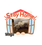 ベンガルズと、ともえさんの番外編⑧（個別スタンプ：4）