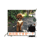くるみのスタンプPart5（個別スタンプ：1）