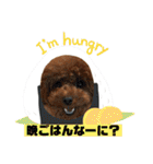くるみのスタンプPart5（個別スタンプ：2）