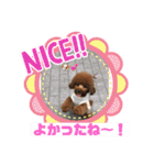 くるみのスタンプPart5（個別スタンプ：7）