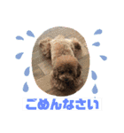 くるみのスタンプPart5（個別スタンプ：8）