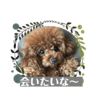 くるみのスタンプPart5（個別スタンプ：10）