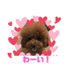 くるみのスタンプPart5（個別スタンプ：11）