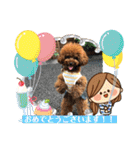 くるみのスタンプPart5（個別スタンプ：14）