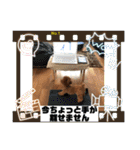 くるみのスタンプPart5（個別スタンプ：21）