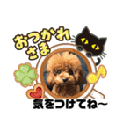 くるみのスタンプPart5（個別スタンプ：22）