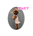くるみのスタンプPart5（個別スタンプ：26）