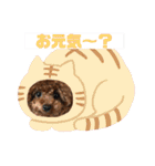 くるみのスタンプPart5（個別スタンプ：27）