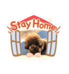くるみのスタンプPart5（個別スタンプ：32）