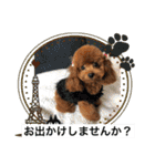 くるみのスタンプPart5（個別スタンプ：33）