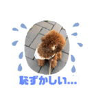 くるみのスタンプPart5（個別スタンプ：34）