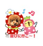 くるみのスタンプPart5（個別スタンプ：35）