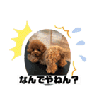 くるみのスタンプPart5（個別スタンプ：40）