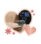 我が家のインコ( 'Θ' )あずきとぷりん（個別スタンプ：10）