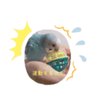 我が家のインコ( 'Θ' )あずきとぷりん（個別スタンプ：15）