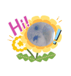 我が家のインコ( 'Θ' )あずきとぷりん（個別スタンプ：17）