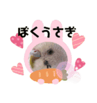 我が家のインコ( 'Θ' )あずきとぷりん（個別スタンプ：18）