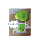 かわいんこちゃん（個別スタンプ：2）