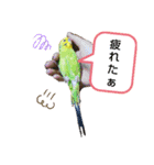 かわいんこちゃん（個別スタンプ：7）