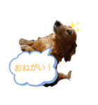 動物だらけ（個別スタンプ：1）