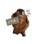 動物だらけ（個別スタンプ：3）