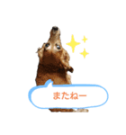動物だらけ（個別スタンプ：5）