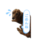 動物だらけ（個別スタンプ：6）